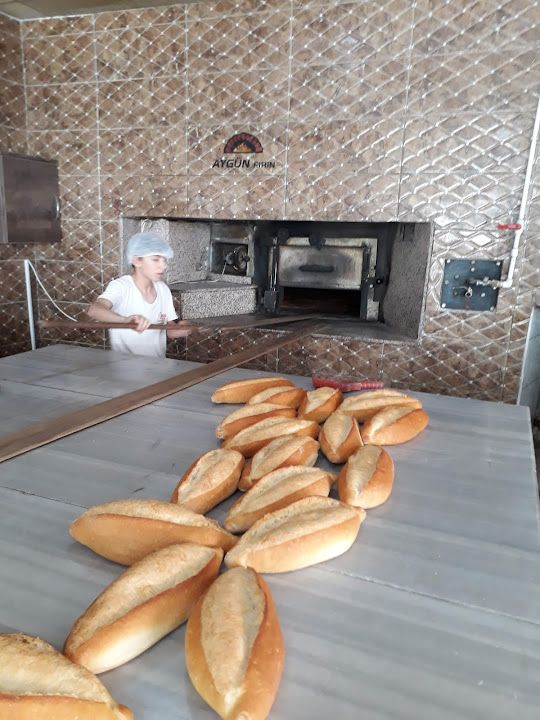Fotoğraf 11