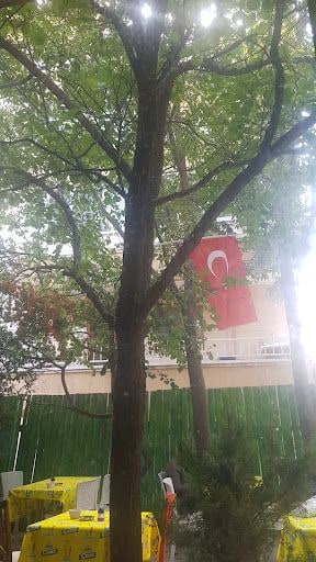 Yorum fotoğrafı 4