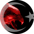 Ayhan CERANLI