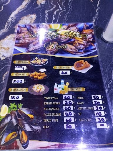 Fotoğraf 17