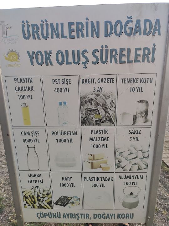 Fotoğraf 31