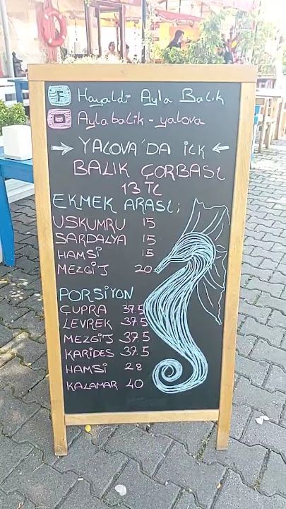 Fotoğraf 23