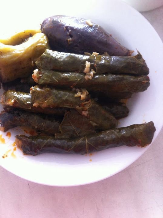 Fotoğraf 13