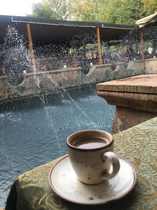 Fotoğraf 48