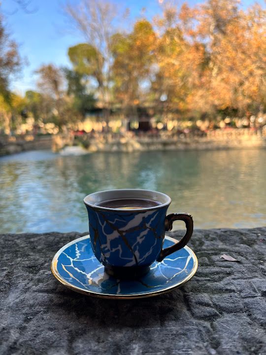 Fotoğraf 43