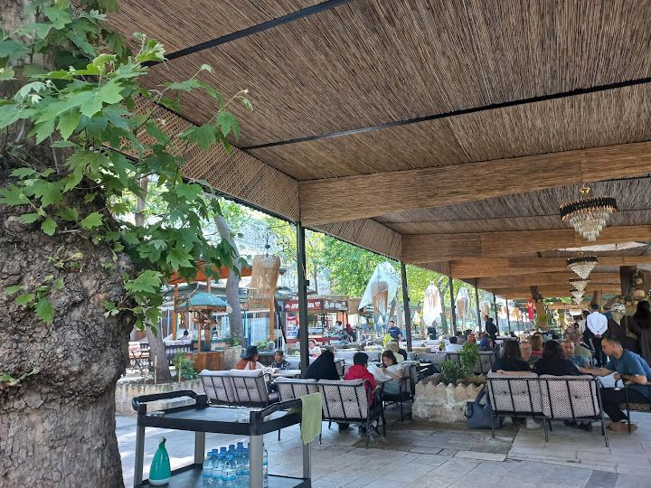 Fotoğraf 32