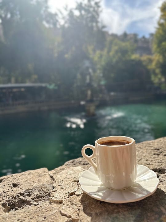 Fotoğraf 33