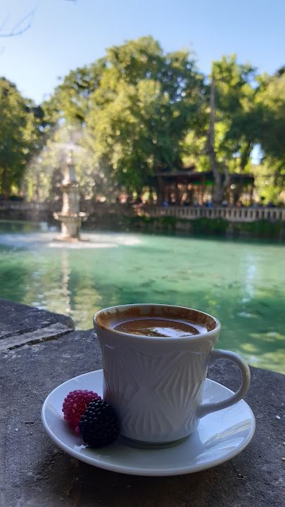 Fotoğraf 44