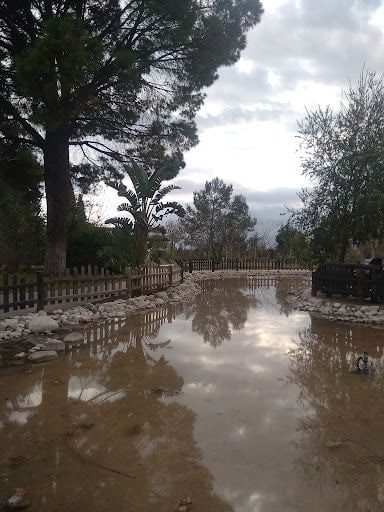 Yorum fotoğrafı 5