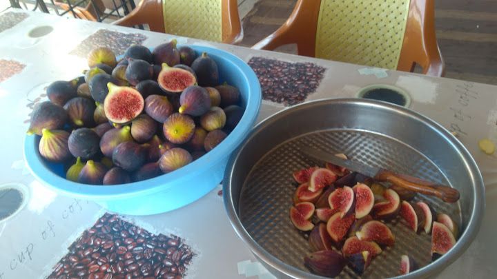 Fotoğraf 34