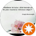 Ayşe Ayşe