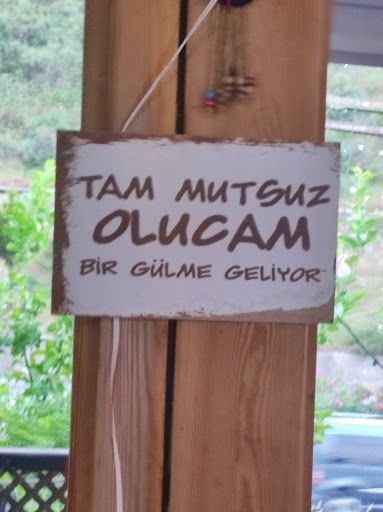 Fotoğraf 12