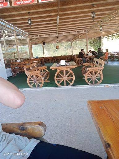 Yorum fotoğrafı 2