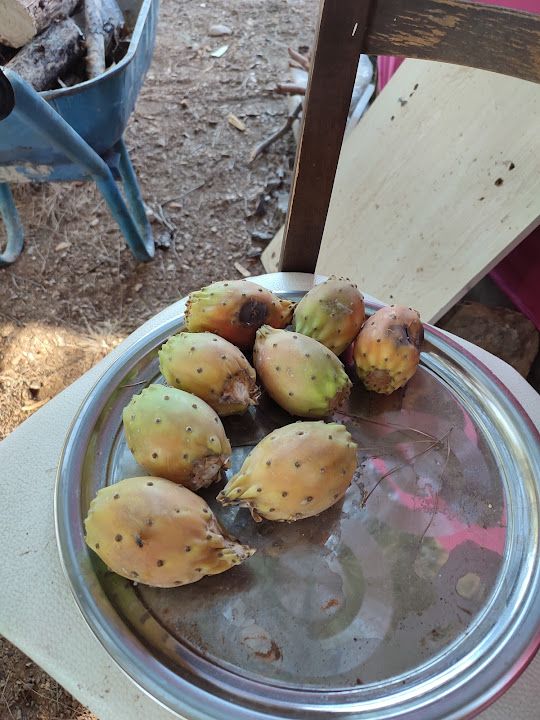 Fotoğraf 22