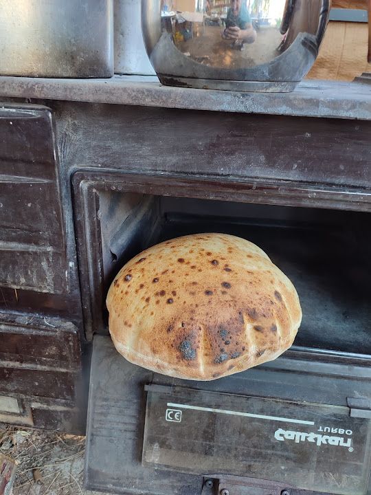 Fotoğraf 24