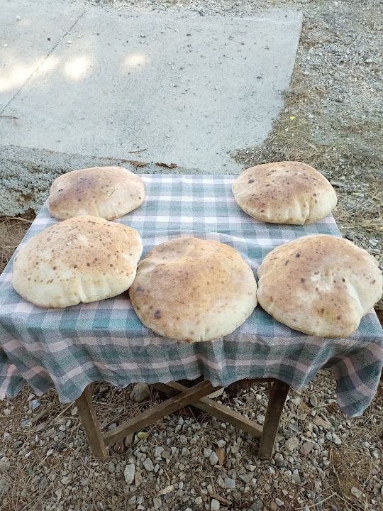 Fotoğraf 25