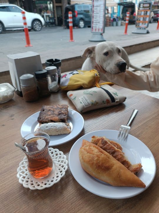 Fotoğraf 20
