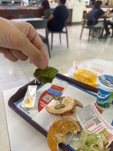 Yorum fotoğrafı 3