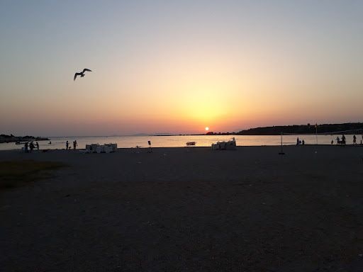 Fotoğraf 12