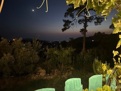 Yorum fotoğrafı 4