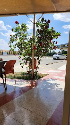 Yorum fotoğrafı 4