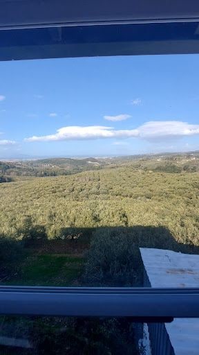 Fotoğraf 13