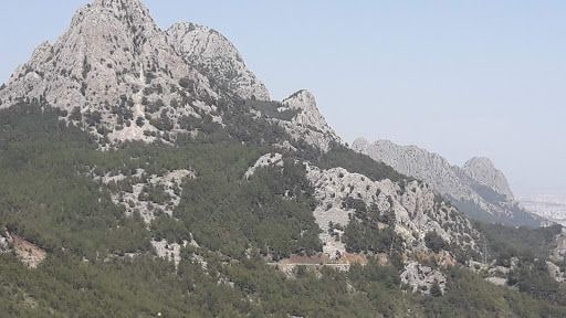 Yorum fotoğrafı 4