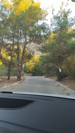 Yorum fotoğrafı 5