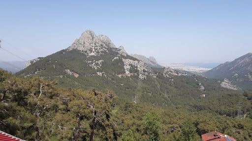 Yorum fotoğrafı 6