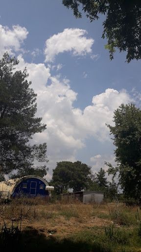Yorum fotoğrafı 8