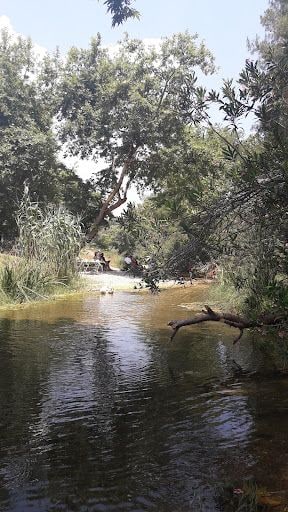 Yorum fotoğrafı 9