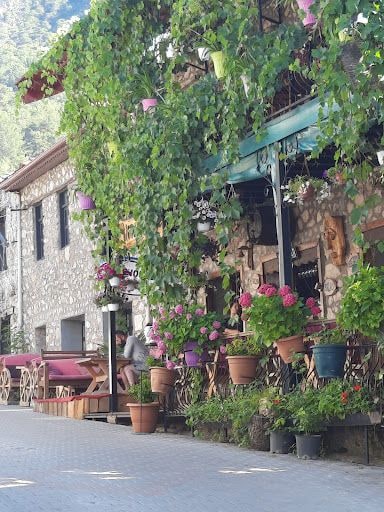 Fotoğraf 17