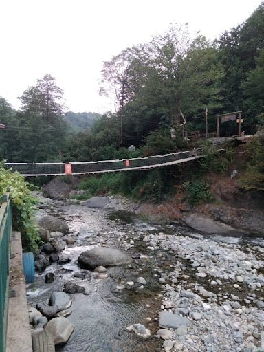 Fotoğraf 15