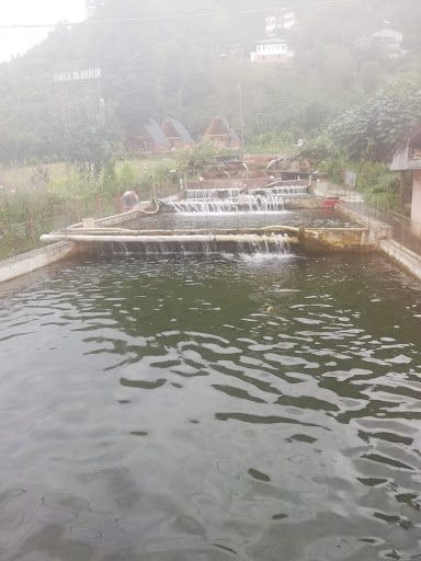 Fotoğraf 16