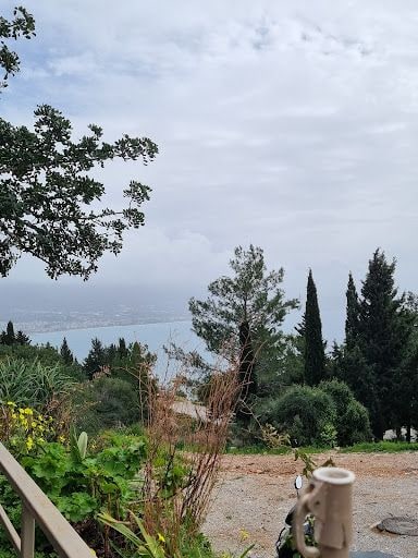 Yorum fotoğrafı 4