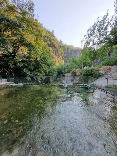 Yorum fotoğrafı 6