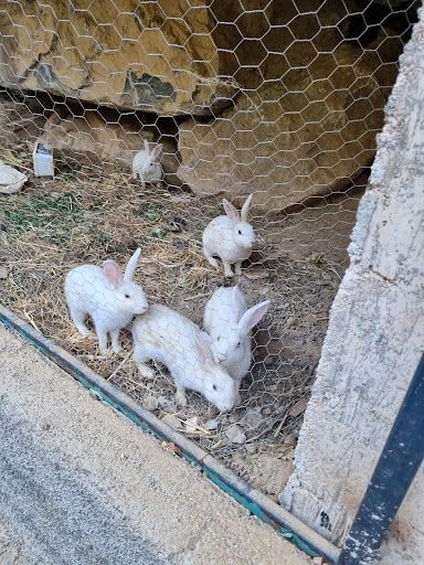 Yorum fotoğrafı 8