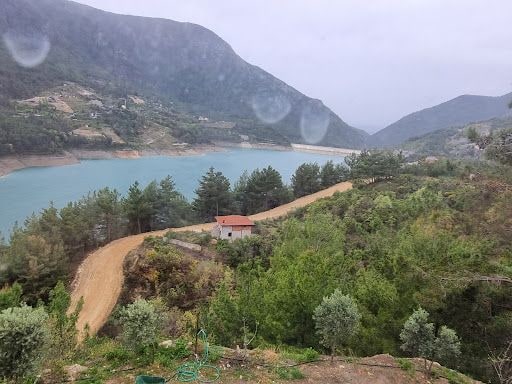 Yorum fotoğrafı 9
