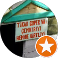 Ayşegül Yiğit