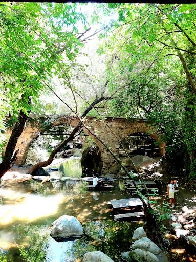 Fotoğraf 36