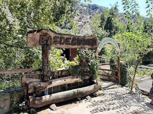 Fotoğraf 29