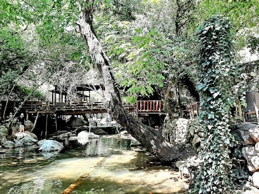 Fotoğraf 30