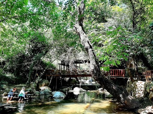 Fotoğraf 31