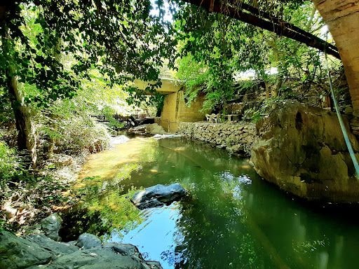 Fotoğraf 32