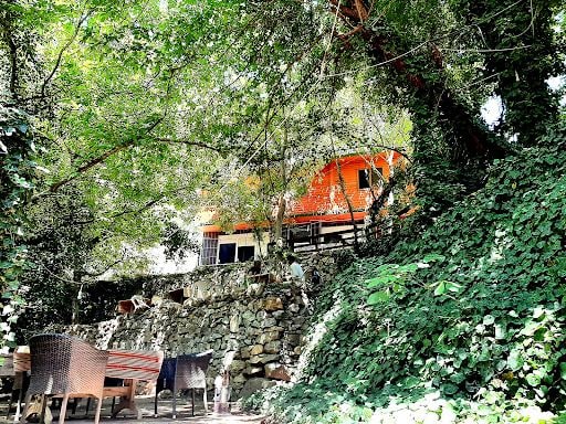Fotoğraf 34
