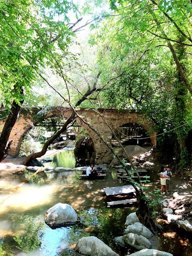Fotoğraf 35