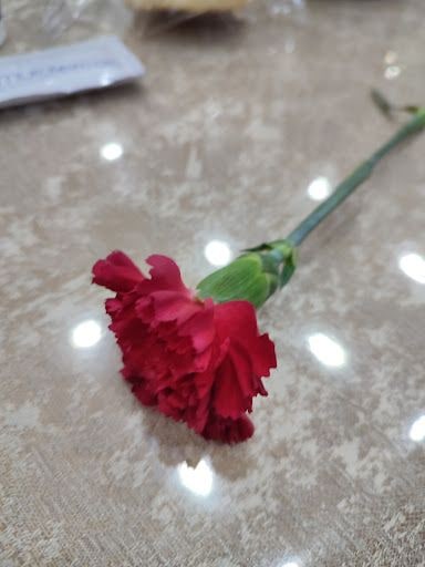 Yorum fotoğrafı 10