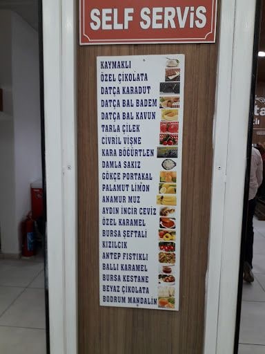 Fotoğraf 15