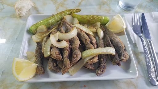 Fotoğraf 14