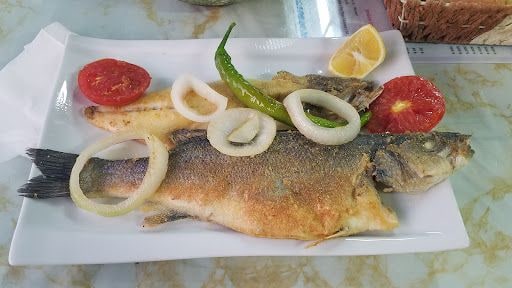 Fotoğraf 15